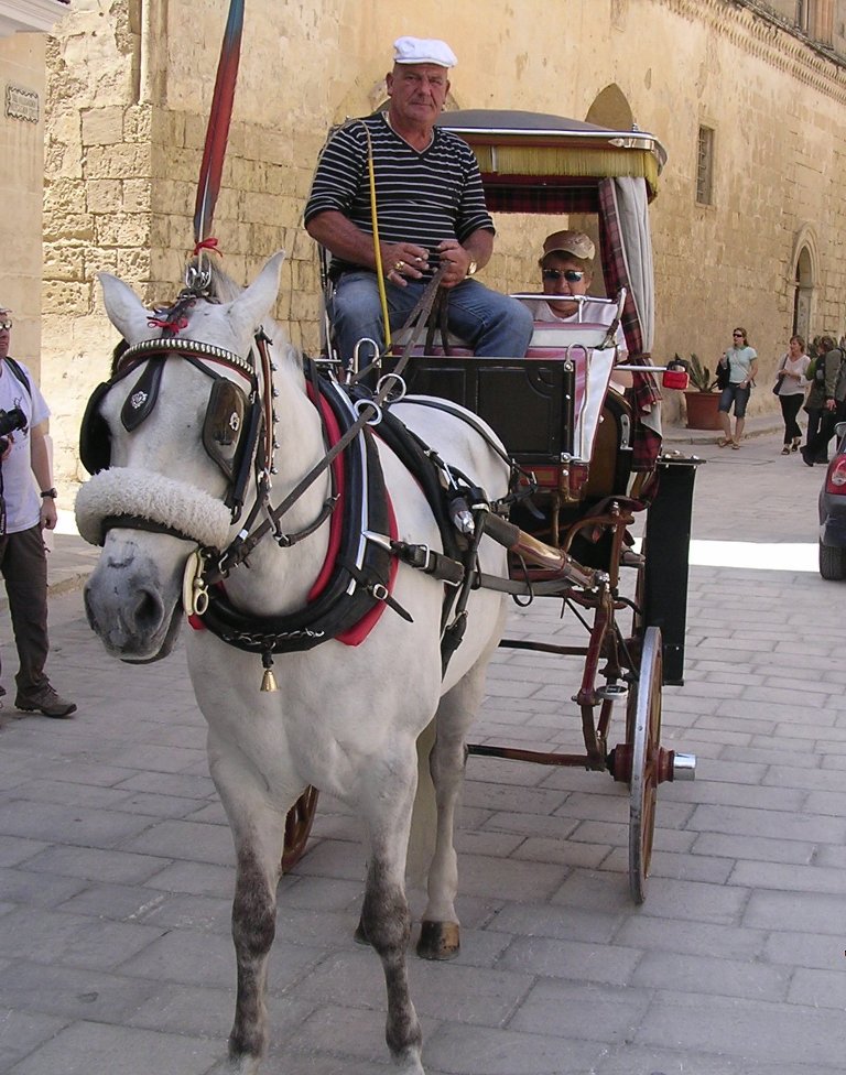 Carriage with tourists